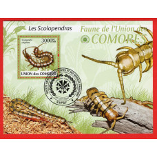 Коморські острови. Union of the Comoros. Les Scolopendras - Сколопендра - блок 2009р. 3000fc.