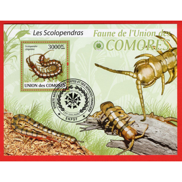 Коморські острови. Union of the Comoros. Les Scolopendras - Сколопендра - блок 2009р. 3000fc.