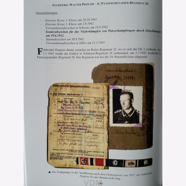 Знак знищення танків і значок знищення літаків  (Дірк Шнайдер) - 2-е оновлення. Випуск 2022 року