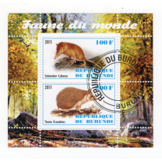Бурунді 2011. Фауна світу. Solenodon cubanus - Щілинозуб кубинський. Tenrec ecaudatus - тенрек.