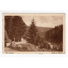 Листівка. Яремче. Дорога до Ямної (L. i M. Heller #303) 1930