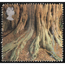 Велика Британія. 2000 - 2nd - Флора - марки тисячоліття - Yews for the Millennium - Тис на тисячоліття